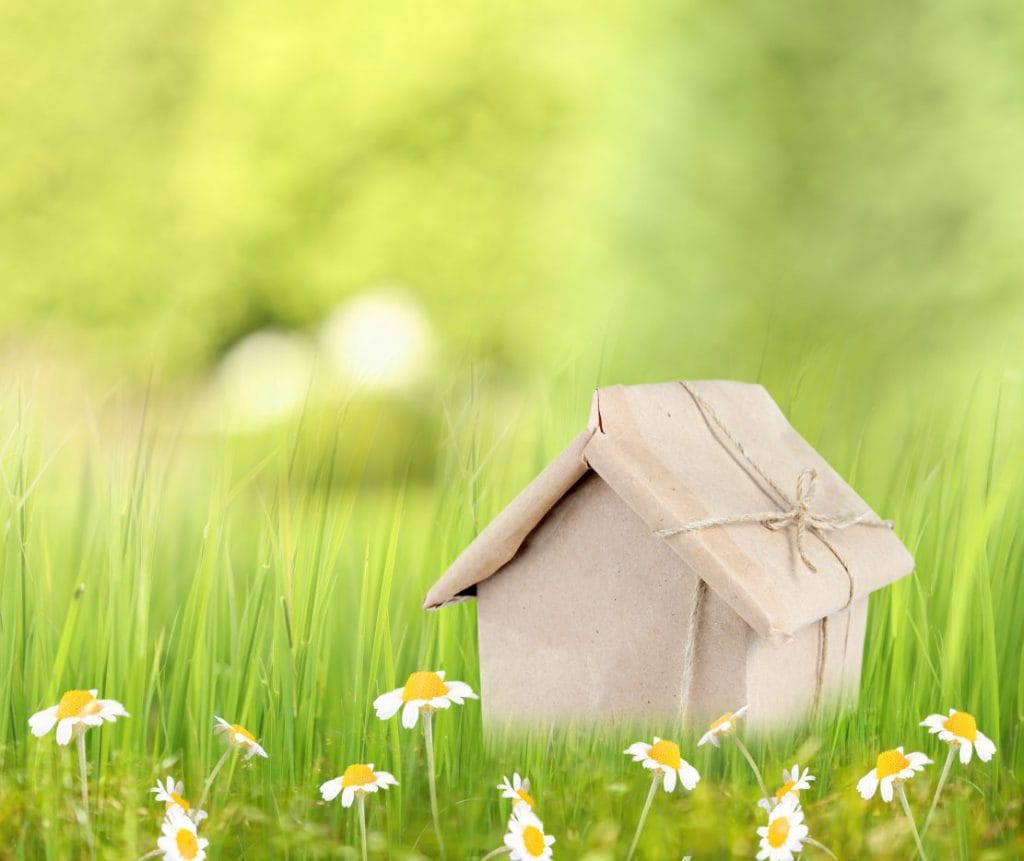 Small house background e1507733882948
